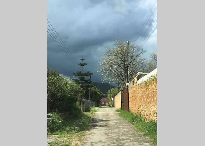 Maria's Peaceful Nest Chania (Crete)